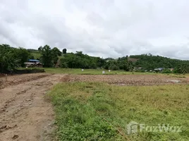 在夜丰颂出售的 土地, Mae La Noi, Mae La Noi, 夜丰颂