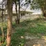  Land for sale in Mae Rim, Chiang Mai, Don Kaeo, Mae Rim