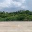  Terrain for sale in Khlong Luang, Pathum Thani, Khlong Sam, Khlong Luang