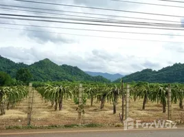  Land for sale in Nong Nam Daeng, Nakhon Ratchasima, Nong Nam Daeng, Pak Chong, Nakhon Ratchasima