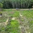  Land for sale in Phe, Rayong, Phe