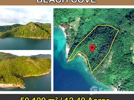  Grundstück zu verkaufen in El Nido, Mimaropa, El Nido, Palawan, Mimaropa, Philippinen