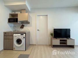 1 Bedroom Condo for rent at Plum Condo Sukhumvit 62, Bang Chak, Phra Khanong, Bangkok, Thailand