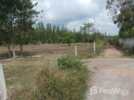  Terrain for sale in Thaïlande, Thap Tai, Hua Hin, Prachuap Khiri Khan, Thaïlande