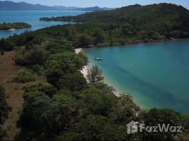  Grundstück zu verkaufen in Ko Yao, Phangnga, Ko Yao Yai, Ko Yao