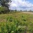  Terreno for sale in Amazonas, Presidente Figueiredo, Presidente Figueiredo, Amazonas