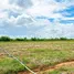  Land for sale in Huai Bong, Nakhon Ratchasima, Huai Bong