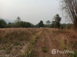  Terrain for sale in Thaïlande, Mae O, Phan, Chiang Rai, Thaïlande