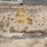  Land for sale at Al Hooshi Villas, Hoshi, Al Badie, Sharjah