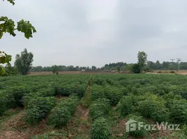 ขายที่ดิน ใน นาบัว, สุรินทร์, นาบัว, เมืองสุรินทร์, สุรินทร์, ไทย