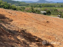  Grundstück zu verkaufen in Thalang, Phuket, Mai Khao