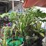 在呵叻府出售的1 卧室 屋, Nai Mueang, Mueang Nakhon Ratchasima, 呵叻府