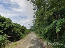  Land for sale in Chiang Mai, Tha Duea, Doi Tao, Chiang Mai