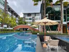 2 chambre Condominium à vendre à Arise Condo At Mahidol., Pa Daet, Mueang Chiang Mai, Chiang Mai