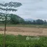  Land for sale in Thailand, Samran Rat, Doi Saket, Chiang Mai, Thailand