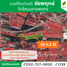  Земельный участок for sale in Phimonrat, Нонтабури, Phimonrat