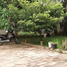 4 Bedroom House for sale in Kandal, Doeum Mien, Ta Khmau, Kandal