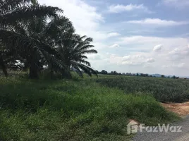  Terreno (Parcela) en venta en Mueang Prachuap Khiri Khan, Prachuap Khiri Khan, Bo Nok, Mueang Prachuap Khiri Khan