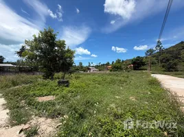 ขายที่ดิน ใน บ่อผุด, สุราษฎร์ธานี, บ่อผุด, เกาะสมุย, สุราษฎร์ธานี, ไทย