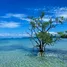 Land for sale in Ko Kut Trat, Ko Mak, Ko Kut, Trat