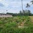  Земельный участок for sale in Mai Khao, Пхукет, Mai Khao