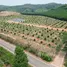  Land for sale in Thang Kwian, Rayong, Thang Kwian, Klaeng