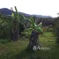  Land for sale in Pa Khlok, Phuket, Pa Khlok