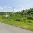  Land for sale in Si Wichai, Surat Thani, Si Wichai