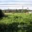  Land for sale in Thailand, Wang Krachae, Mueang Trat, Trat, Thailand