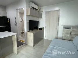 อพาร์ทเม้นท์ 1 ห้องนอน ให้เช่า ในโครงการ ไลฟ์ อโศก, บางกะปิ