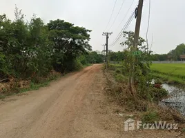  Land for sale in Mae Rim Chiang Mai, Mueang Kaeo, Mae Rim, Chiang Mai