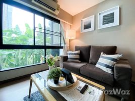 คอนโด 1 ห้องนอน ให้เช่า ในโครงการ ไทดี้ ทองหล่อ, คลองตันเหนือ