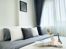 คอนโด 1 ห้องนอน ให้เช่า ในโครงการ เมโทรสกาย วุฒากาศ, ตลาดพลู