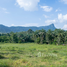  Земельный участок for sale in Nong Thale, Краби, Nong Thale, Mueang Krabi