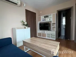 1 Schlafzimmer Wohnung zu vermieten im The Base Sukhumvit 77, Phra Khanong Nuea, Watthana