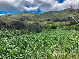  Terreno (Parcela) en venta en Quinara, Loja, Quinara