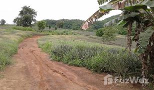 N/A Land for sale in Pa Tueng, Chiang Rai 