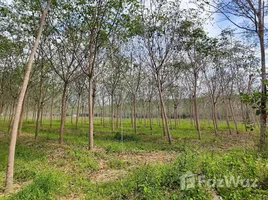 ขายที่ดิน ใน สะเดา, สงขลา, สะเดา, สะเดา