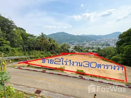 ขายที่ดิน ใน ป่าตอง, ภูเก็ต, ป่าตอง