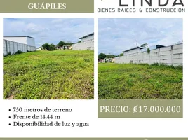  Land for sale in Limon, Pococi, Limon