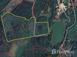  Land for sale in Bang Muang, Phangnga, Bang Muang, Takua Pa, Phangnga, Thailand