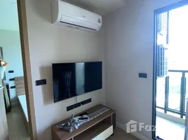 อพาร์ทเม้นท์ 1 ห้องนอน ให้เช่า ในโครงการ เสปซ เชิงทะเล คอนโดมิเนียม, เชิงทะเล