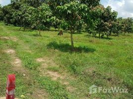 N/A Land for sale in Srae Chea Khang Cheung, Kampot Land for sale in Kampot | Kampot land