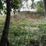  Land for sale in Honduras, Roatan, Bay Islands, Honduras