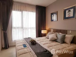 1 Bedroom Condo for rent at Life Sukhumvit 48, Phra Khanong, Khlong Toei, Bangkok