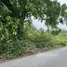 Land for sale in Makhun Wan, Chiang Mai, Makhun Wan