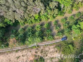 ขายที่ดิน ใน ป่าคลอก, ภูเก็ต, ป่าคลอก