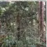  Terreno (Parcela) en venta en Padang Bolak, North Sumatera, Padang Bolak, Tapanuli Selatan, North Sumatera