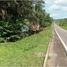  Land for sale in Amazonas, Presidente Figueiredo, Presidente Figueiredo, Amazonas