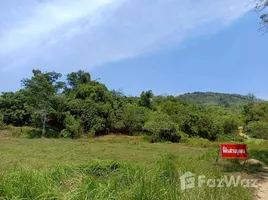 ขายที่ดิน ใน เชิงทะเล, ภูเก็ต, เชิงทะเล